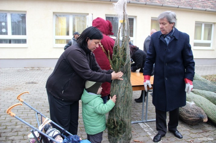 A rászorulóknak is jut karácsonyfa