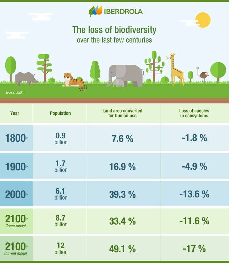 A biológiai sokféleség csökkenése az elmúlt néhány évszázadban és a jövőben (az ENSZ Környezetvédelmi Programjának előrejelzése). Ábra: iberdrola.com