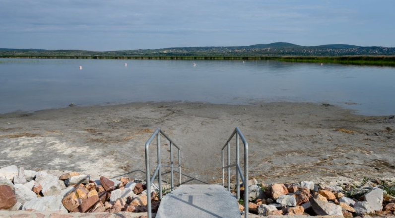 A Velencei-tó általában nyár végére szokott így kinézni. Fotó: MTI