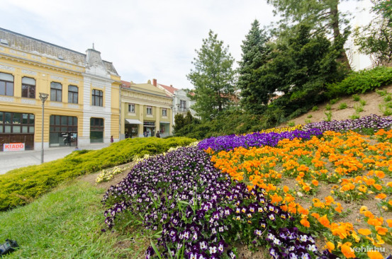 Galériánkért kattintson a képre!