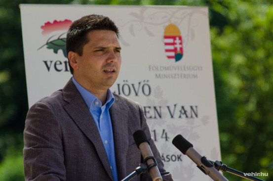 dr. Bitay Márton Örs