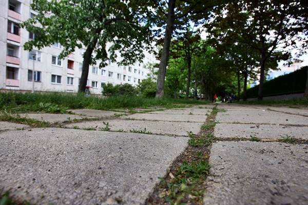 A Halle u. 5. mögötti közterület is megszépül