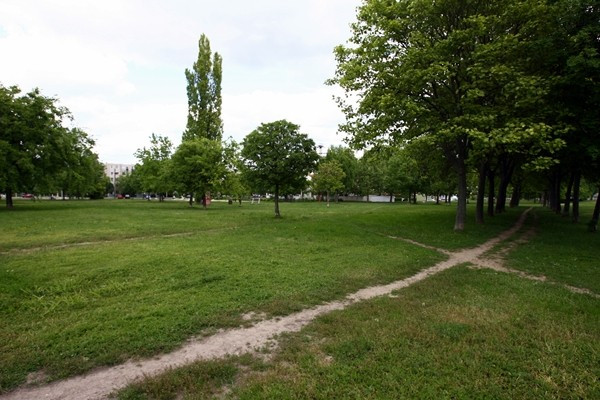 A Kálvin János park új közösségi térként funkcionálhat