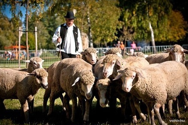 pillanatkép a tavalyi rendezvényről (forrás: Vehir archív)