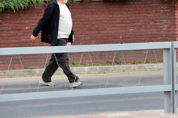 Van, akit nem állít meg a kerítés és a zebra sem.