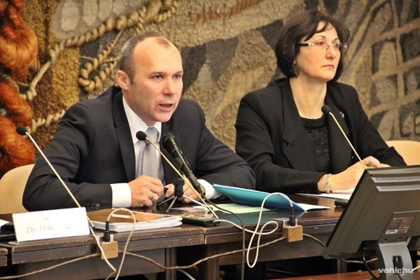 Porga Gyula és Brányi Mária