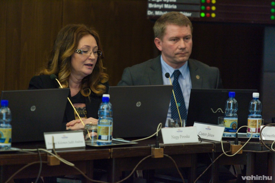 Nagy Piroska, Czaun János