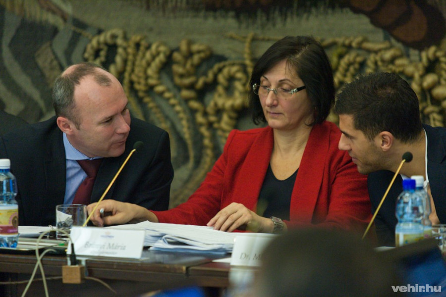 Porga Gyula, Brányi Mária, dr. Mihalovics Péter