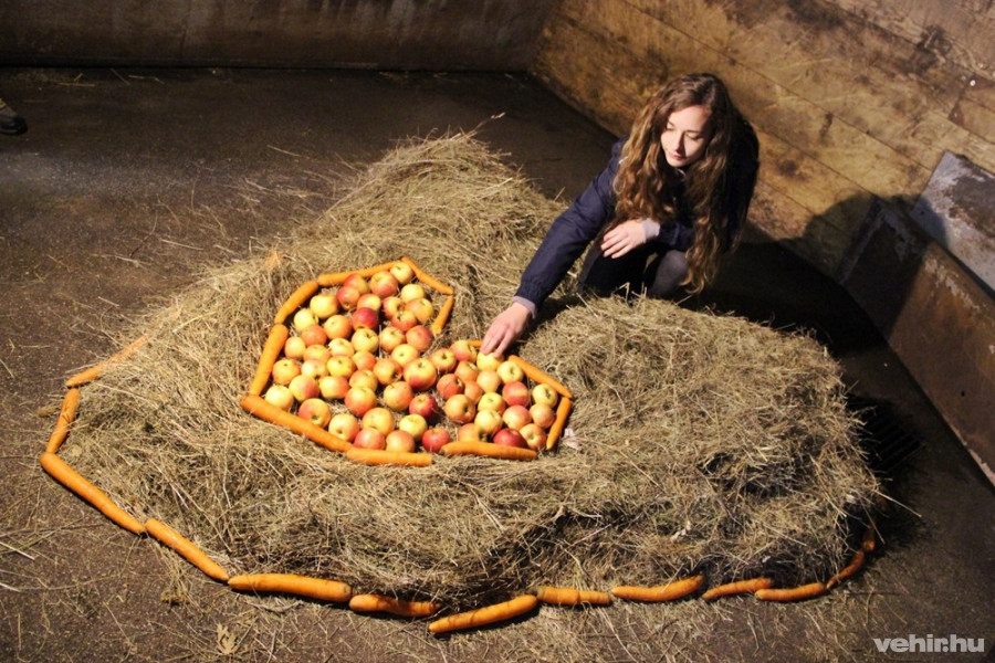 Szeretettel várták vissza Pablot