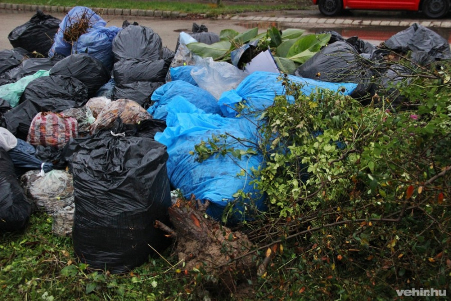 Kérésre ingyenesen elszállítják!