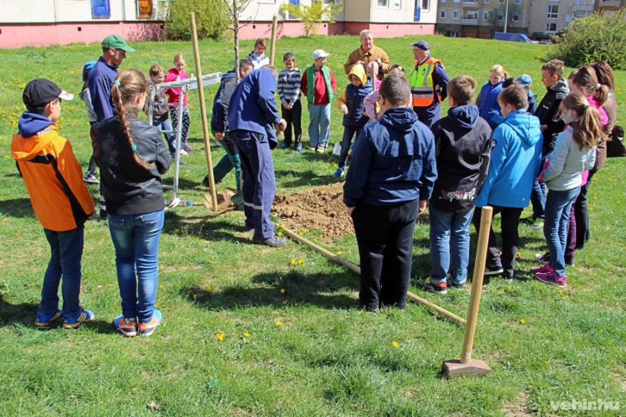 Takács László önkormányzati képviseló a Deák Ferenc Általános Iskola 4./b osztályos tanulóival ültetett el egy díszkörte fát a Haszkovó lakótelepen.