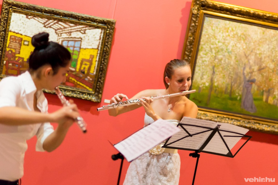 A megnyitón a Dohnányi diákjai és Tóth Loon színművész működtek közre