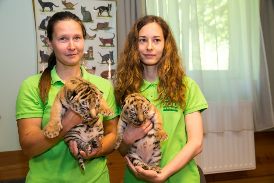 Fotók: Veszprém Zoo