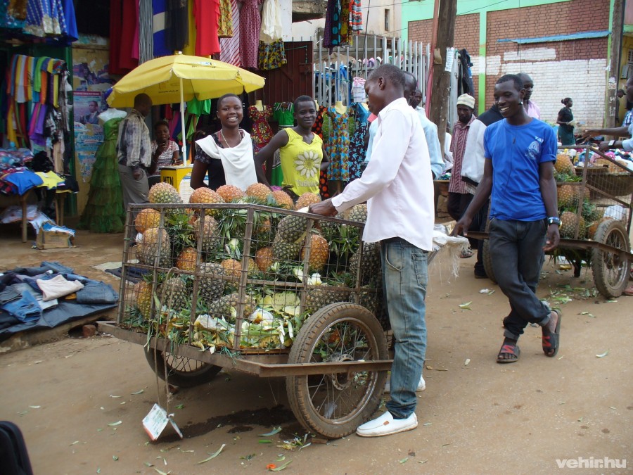 Uganda adottságai nagyon jók: ananászból például rengeteg terem