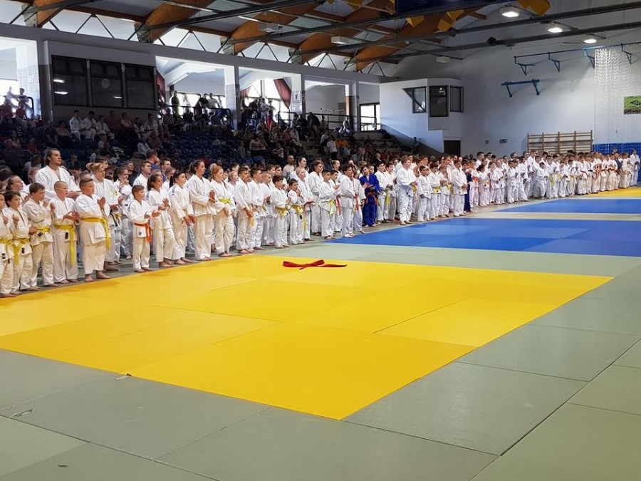 Népes versenyző csapat gyűlt össze Pápán - Fotó: Veszprém Judo SE