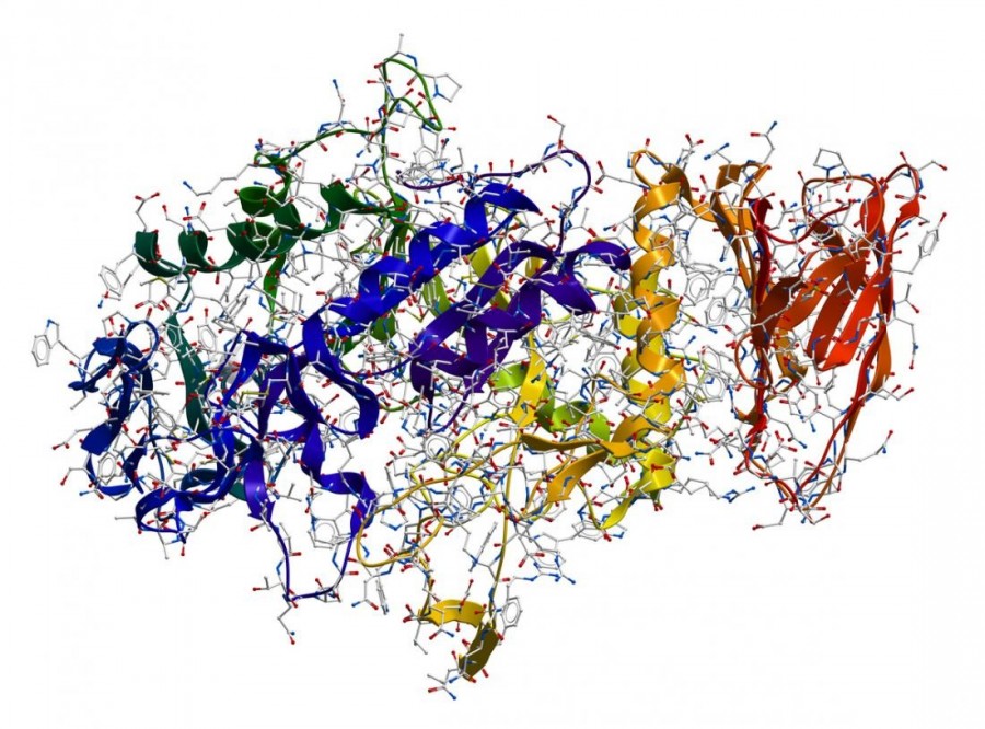Az enzimek túl bonyolult felépítésűek, hogy mesterségesen tervezhetők legyenek