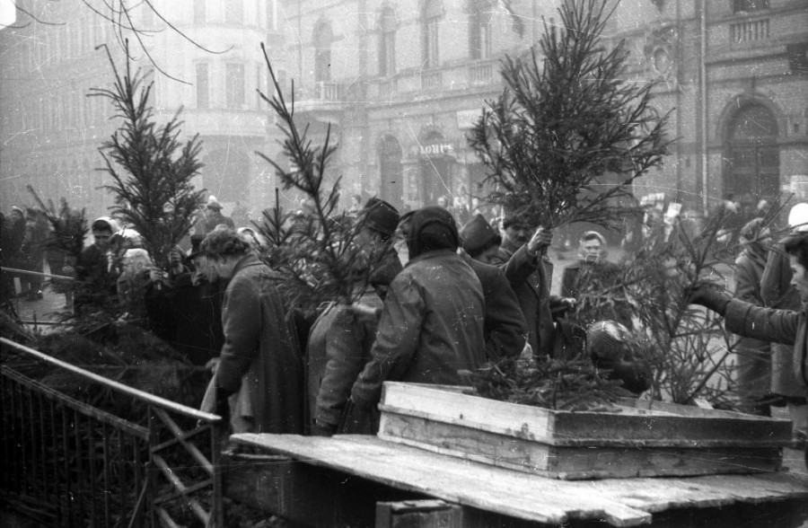 Karácsonyfa vásár, 1959 (Fortepan/Adományozó: FSZEK BUDAPEST GYŰJTEMÉNY / SÁNDOR GYÖRGY)