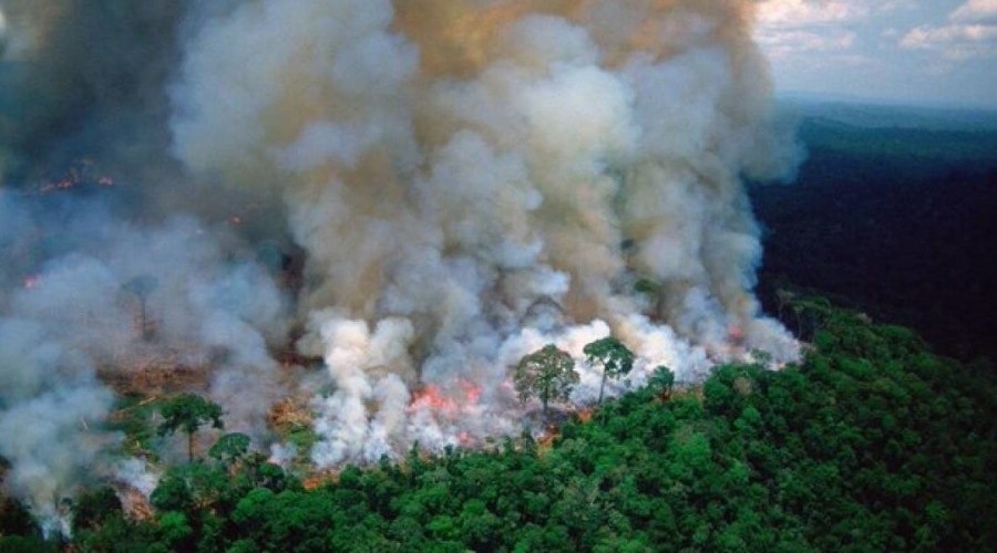 Gyakori kép volt tavaly szeptemberben a brazíliai tudósításokban a lángoló őserdő (kép: rainforestpartnership.org)