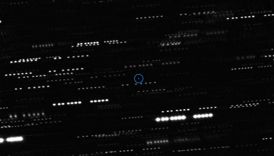 A képen az objektum elmozdulását követték a környező csillagokhoz képest (Credit: ESO/K. Meech et al.)