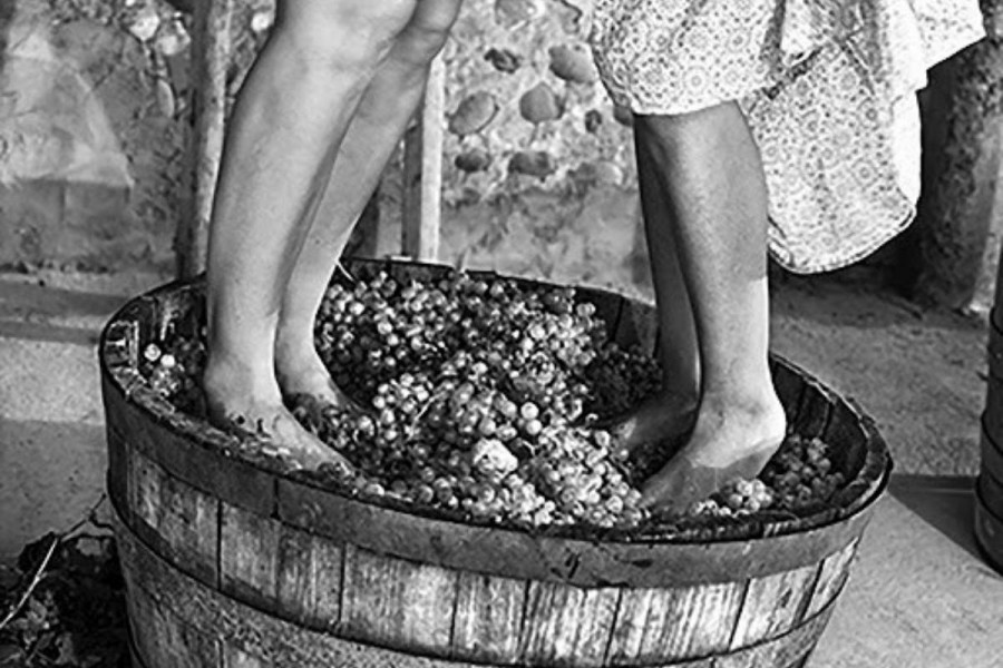Hagyományos módszer a szőlő préselésére (fotó:pilisvorosvar.hu)