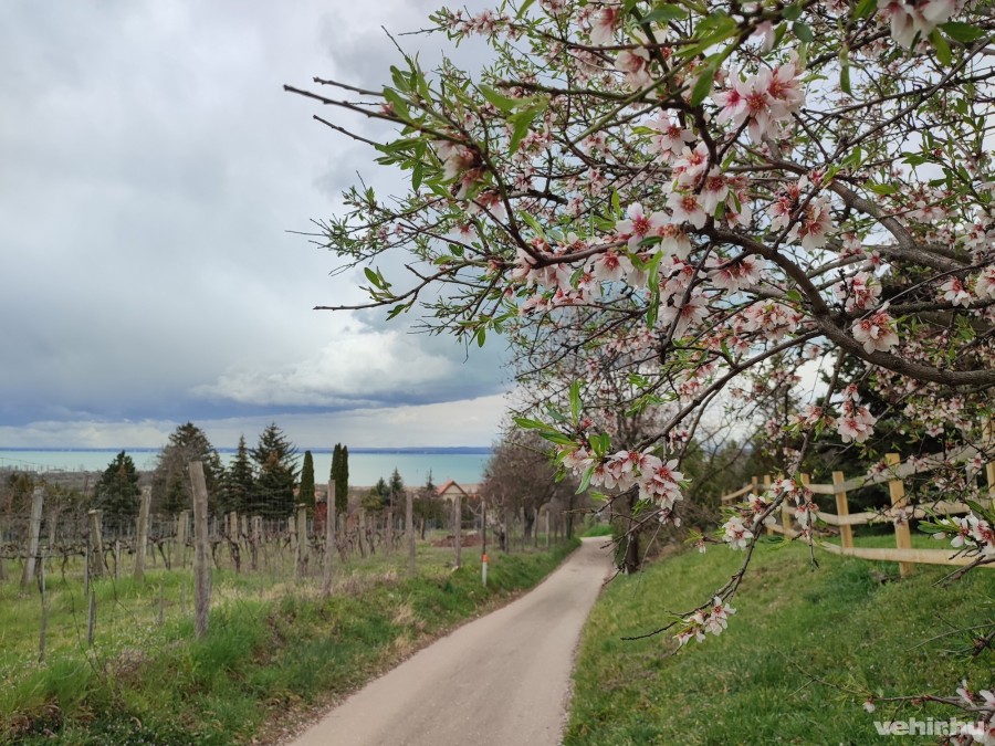A Balaton-felvidéki kék minden évszakban látványos – ilyenkor tavasszal különösen szép