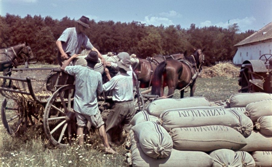 Fortepan / Szekrényesy Réka