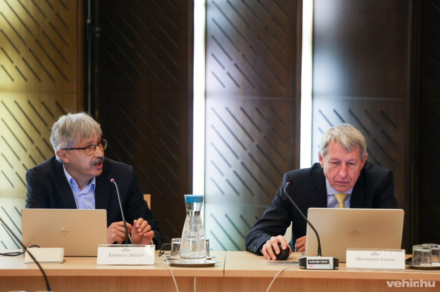 Katanics Sándor, Hartmann Ferenc