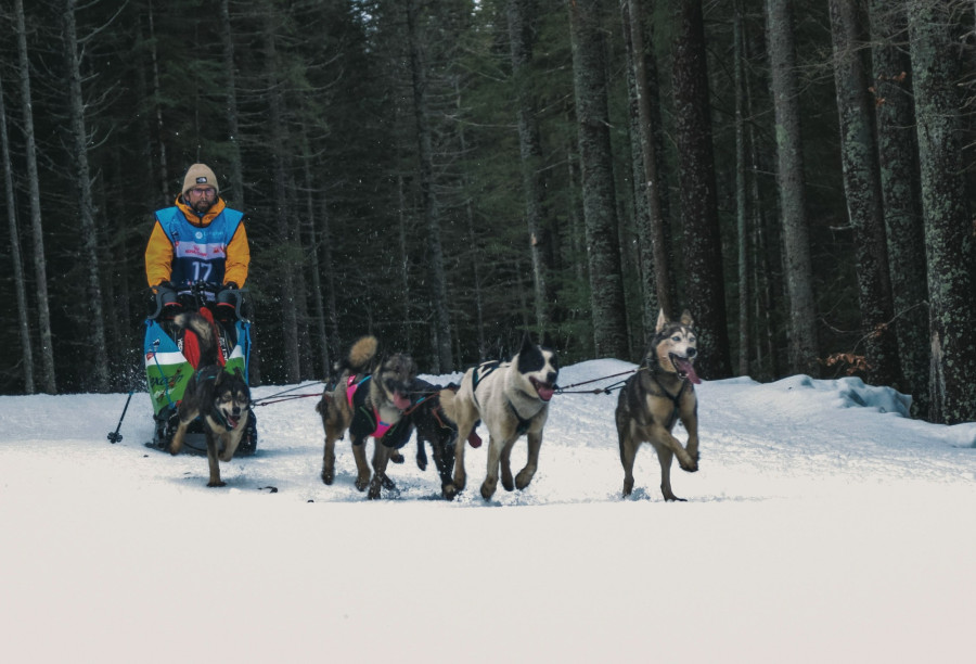 Illusztráció: Jametlene Reskp on Unsplash