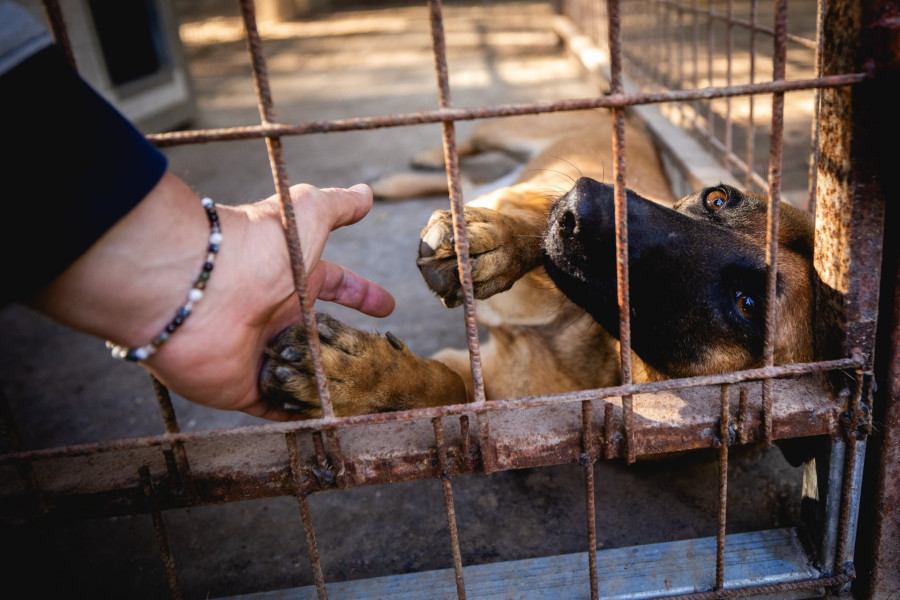 Fotó: Kovács Bálint