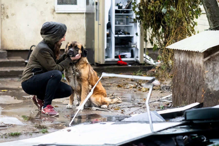 Fotó: Kovács Bálint