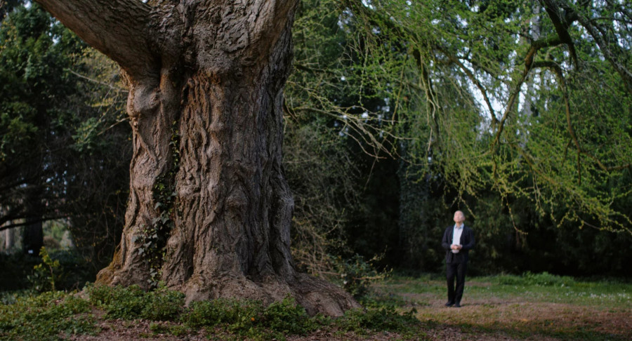A Ginkgo Baloba és Tony Leung Chiu-wai