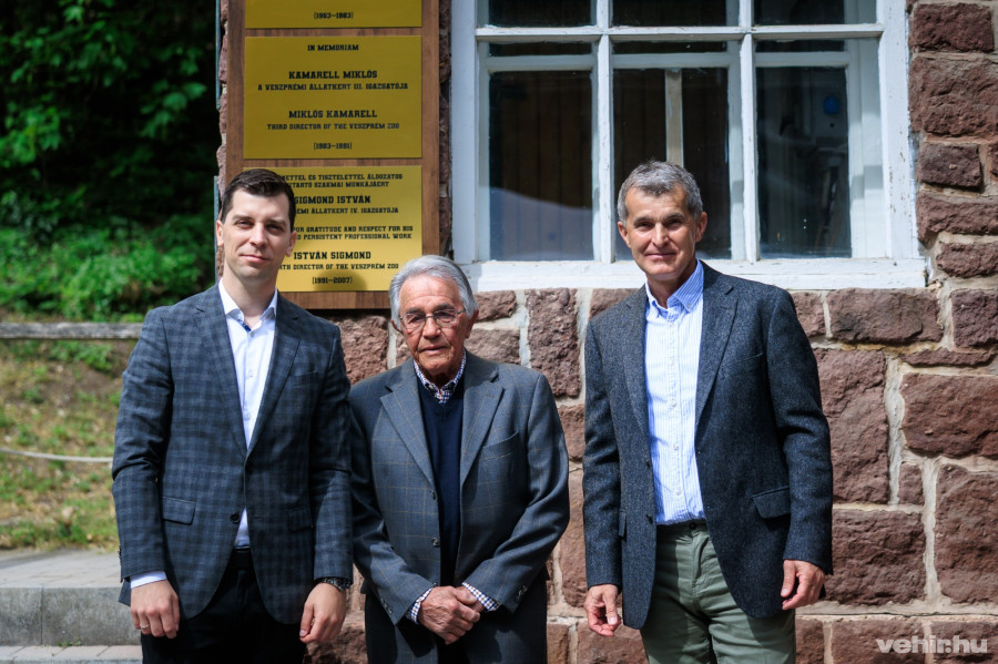 Varga Tamás, Sigmond István, Török László, 